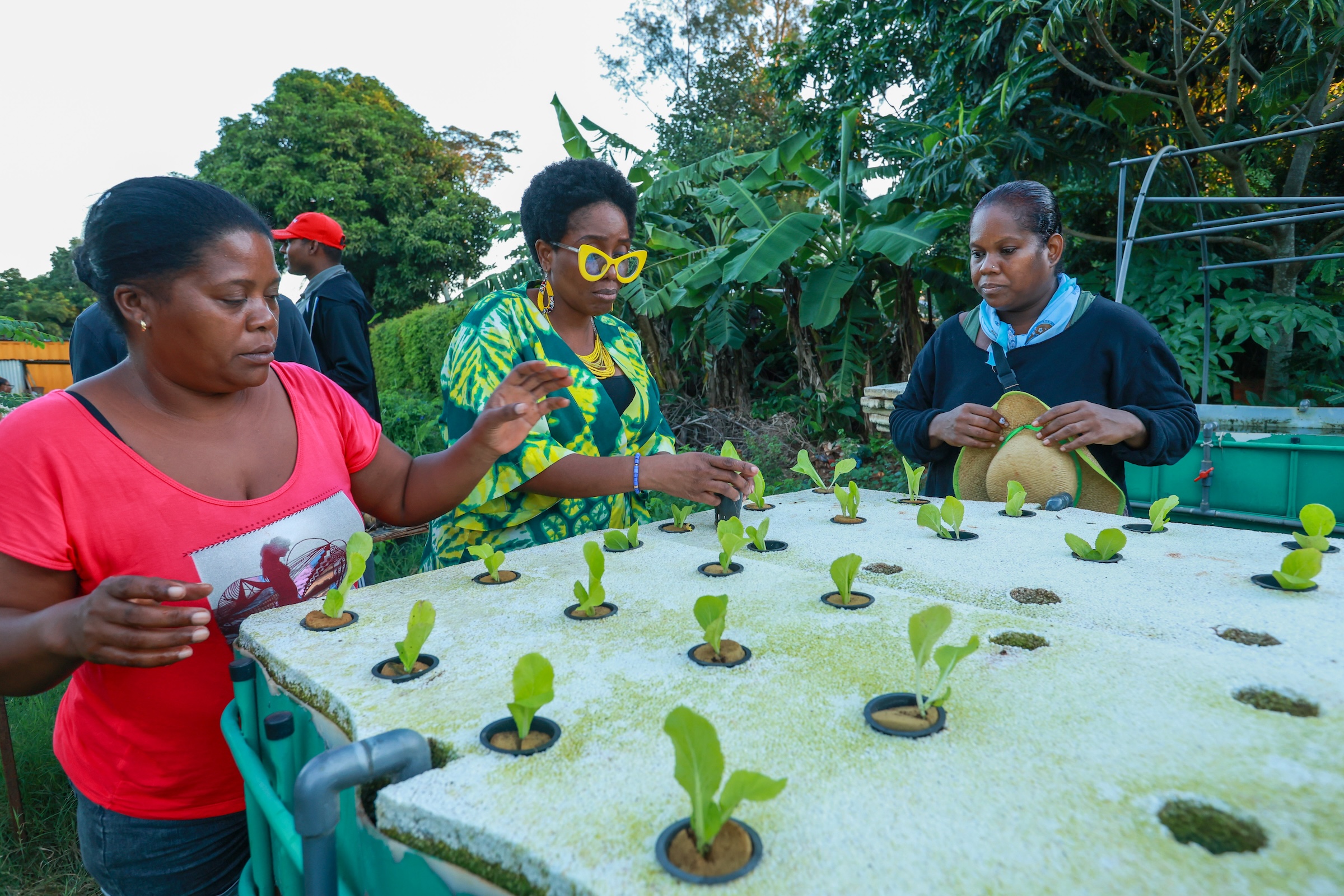 Fellowship gallery image 47