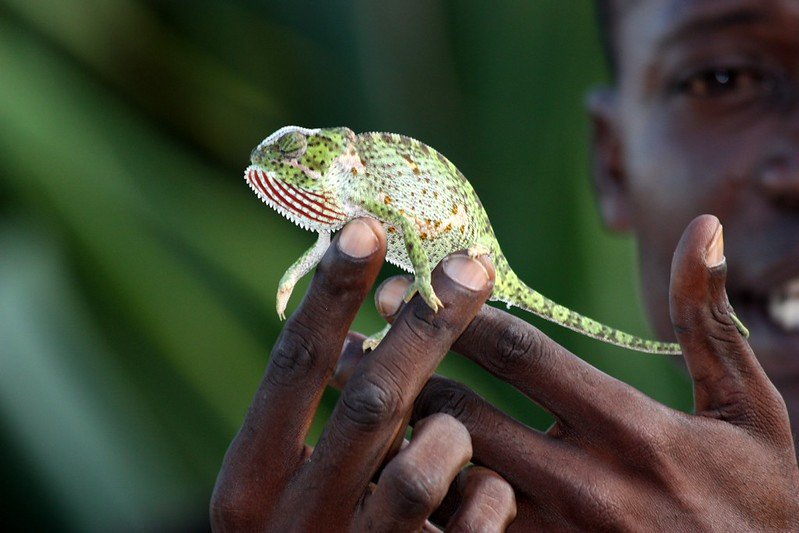 Why Africa Must Own Its Narrative